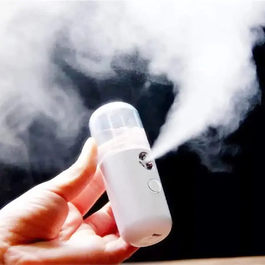 Facial Steamer